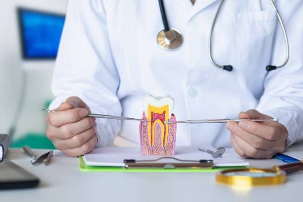 Best Pediatric Emergency Dentist in Natalbany, LA